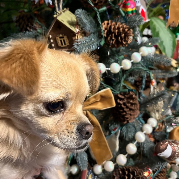 Hi Welcome /// Hola - Picture 3 of 16